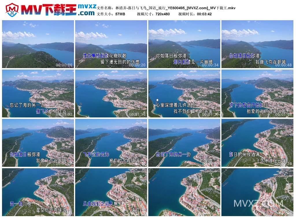 林清弄-落日与飞鸟_国语_流行_YE600495